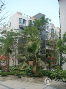 大邑县晋原镇有均GDP_大邑县晋原镇单行道