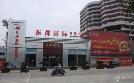 东都国际