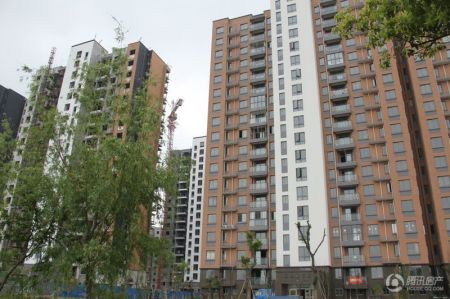 九龙湾树人园