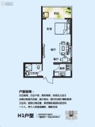 帝佳尚城1室2厅1卫48平方米户型图