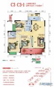 海湘城3室2厅2卫110平方米户型图
