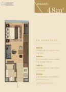 杭州印1室1厅1卫48平方米户型图
