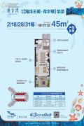 鼎龙湾国际海洋度假区1室1厅1卫45平方米户型图