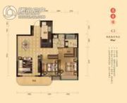 湘江雅颂居2室2厅2卫95平方米户型图