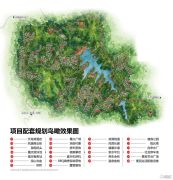 天岛湖规划图
