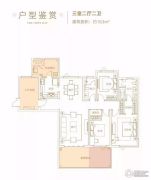 星合・湘水湾3室2厅2卫163平方米户型图